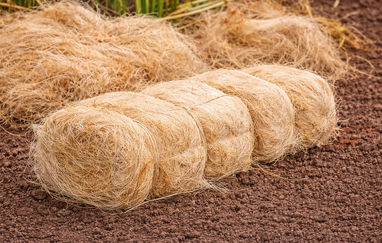 White Fiber